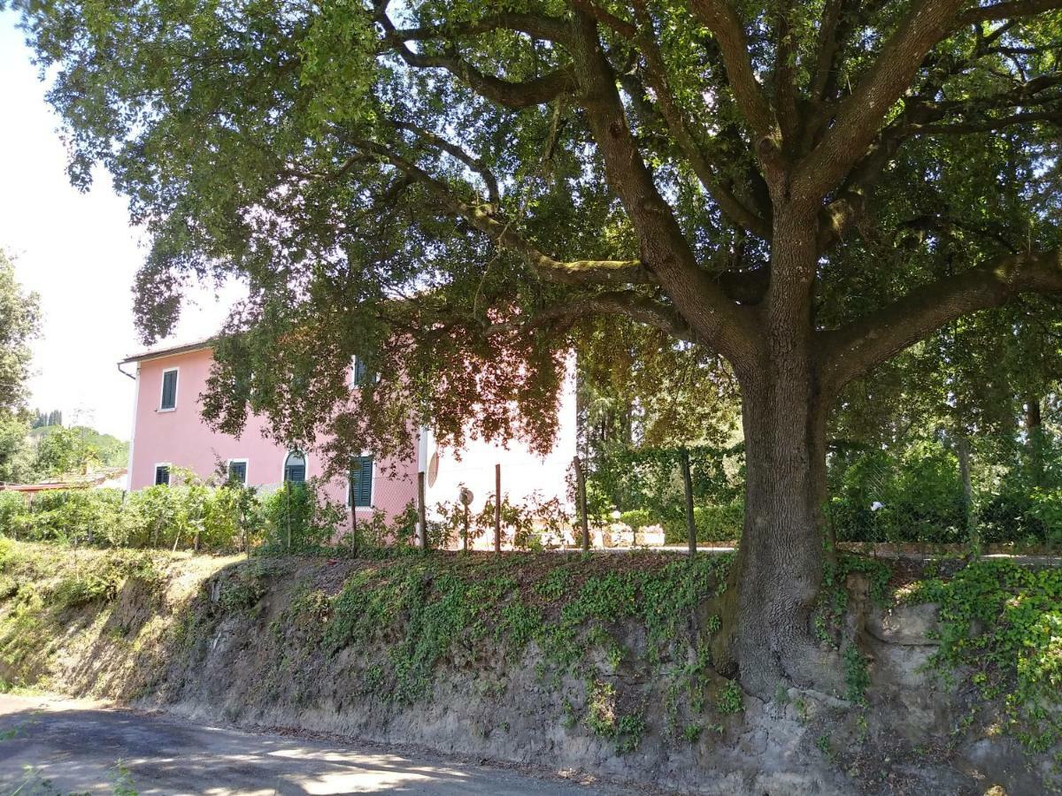Podere Il Leccione Palaia Exterior foto